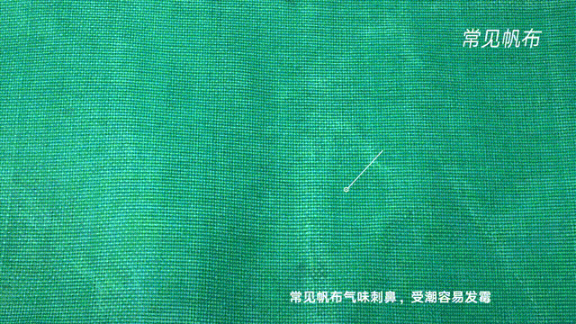 常見帆布氣味刺鼻，受潮容易滋生霉菌。
