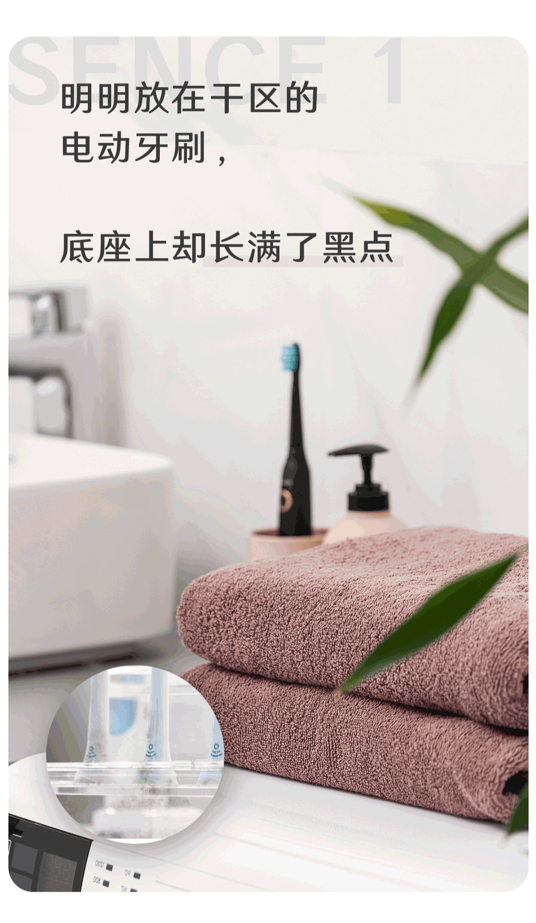 明明放在干區(qū)的電動牙刷，底座上卻長滿了黑點；  明明經常換洗的枕套，枕頭卻還是黑了芯；  明明買了封閉性強的收納盒，皮鞋還是有零星黑斑；  這些便是霉菌。