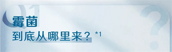 霉菌到底從哪里來的？
